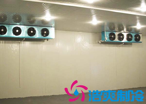 建造一間海參低溫冷凍庫大約需要多少費(fèi)用？