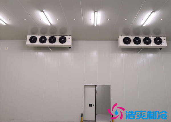建造一個10000平方米生鮮冷庫冷鏈倉儲配送需要投資多少費用？