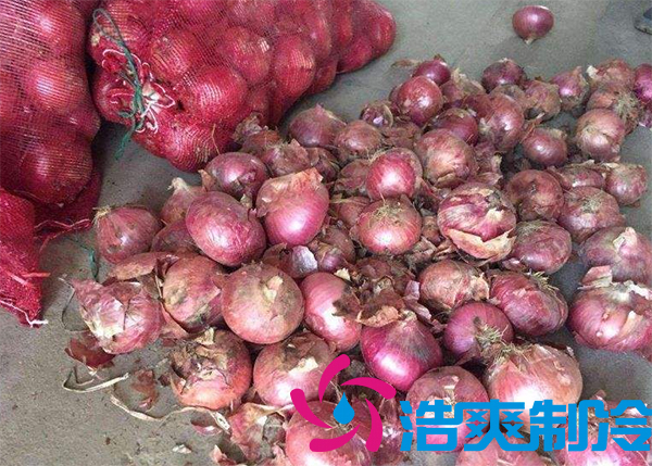 建造1000噸洋蔥保鮮冷庫(kù)安裝費(fèi)用是多少？