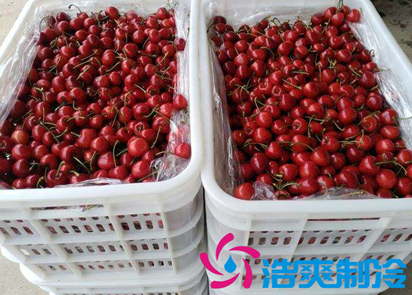 櫻桃氣調(diào)建造完成后有哪些儲(chǔ)存方法和步驟？_浩爽制冷