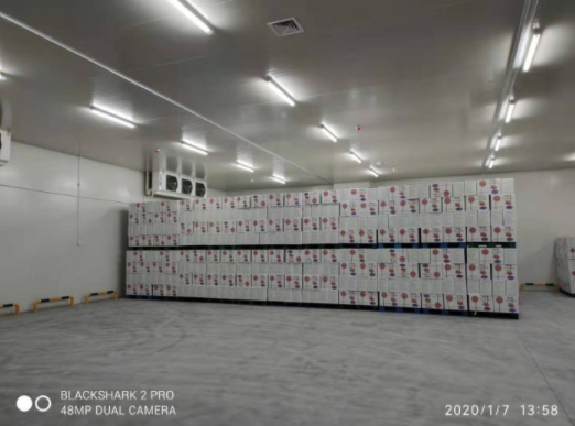 水果蔬菜冷庫建造對庫溫設計有何要求？_浩爽制冷