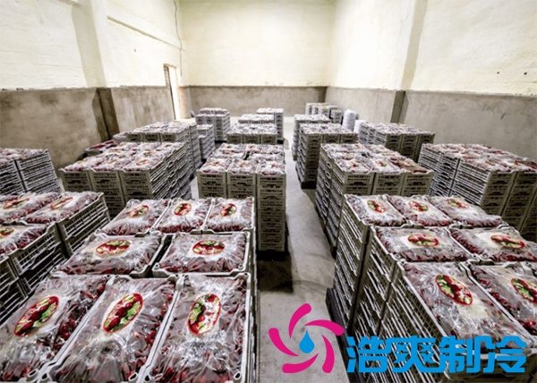 果蔬保鮮冷庫安裝造價需要多少錢？_浩爽制冷