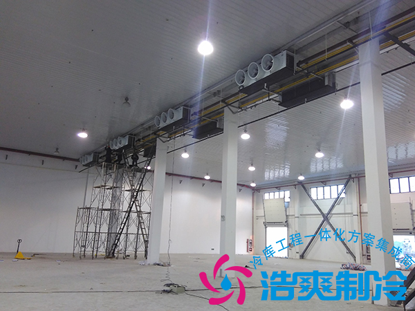 建造一個(gè)小型青果檳榔保鮮冷庫(kù)造價(jià)多少錢(qián)？可以存儲(chǔ)多長(zhǎng)時(shí)間？