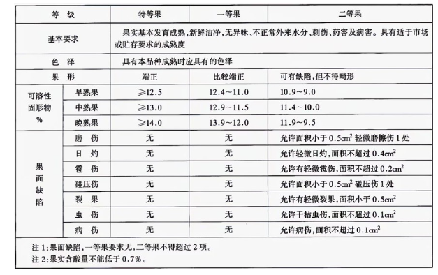 李子冷庫建造完成后如何用于儲存的？這些你都知道嗎