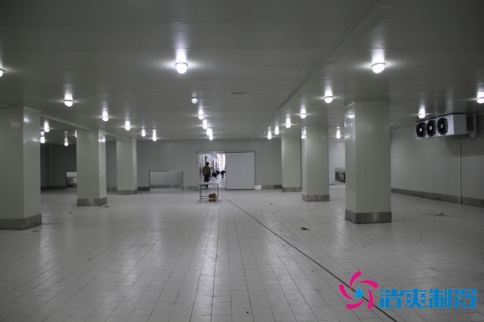 江蘇1500㎡農(nóng)產(chǎn)品中心低溫冷藏冷凍庫(kù)新工程案例
