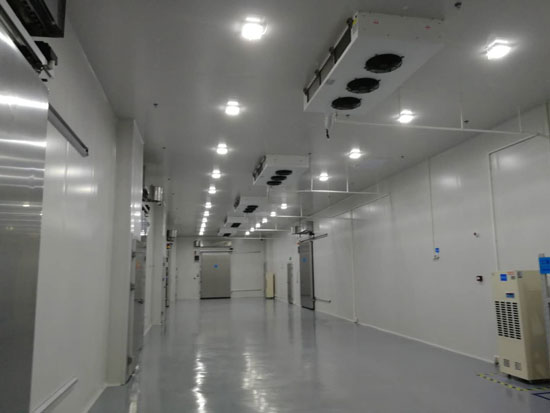 100平方米冷庫建造成本多少錢？