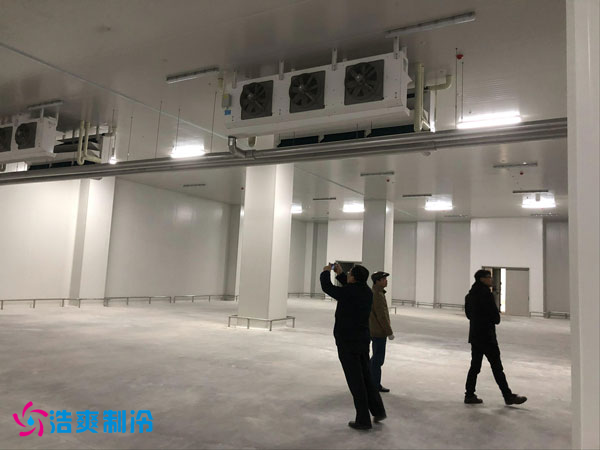 建造一間鳳梨保鮮冷庫費用需要多少錢？_浩爽制冷