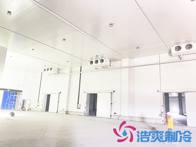 海南建造一個(gè)冷庫需要多少錢？_浩爽制冷