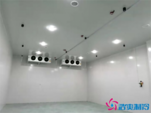 調(diào)味料冷庫溫度需求，建一個食品調(diào)味料冷庫多少錢？_浩爽制冷