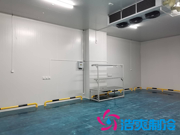 建一個(gè)1000平米蔬菜恒溫庫成本多少錢？_浩爽制冷