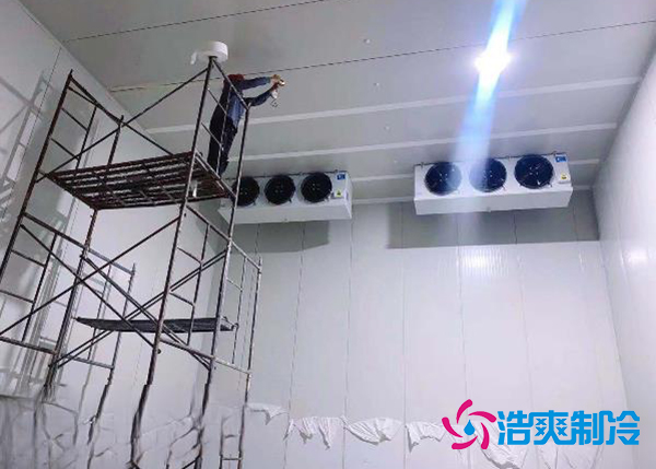 建造一個(gè)果蔬種植園氣調(diào)冷庫(kù)安裝造價(jià)大概投資多少錢？-浩爽制冷