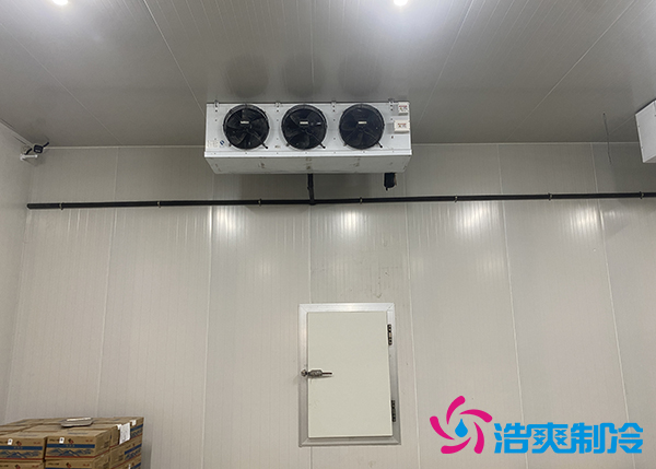 生鮮蔬菜市場冷庫應(yīng)該建多大？-浩爽制冷