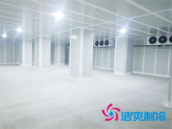 氣調(diào)庫造價(jià)多少錢一平方？氣調(diào)保鮮冷庫造價(jià)表-浩爽制冷