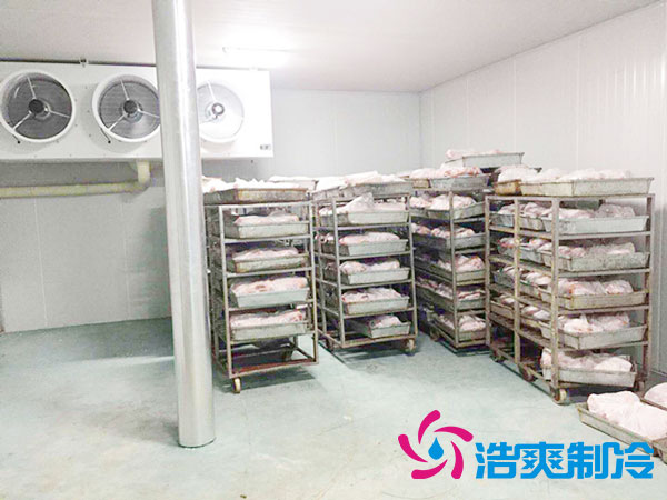 安裝一個(gè)速凍冷庫需多少錢？-浩爽制冷