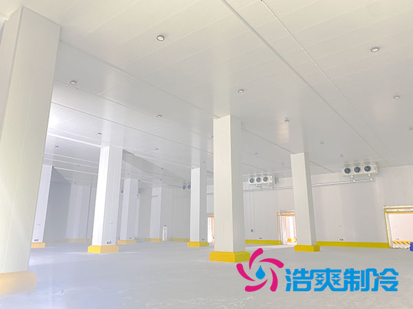 浙江肉類速凍庫建造大概多少錢？-浩爽制冷