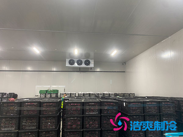 嘉定雞蛋冷庫(kù)安裝建造多少錢？-浩爽制冷