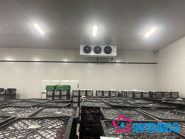 嘉定雞蛋冷庫(kù)安裝建造多少錢？-浩爽制冷