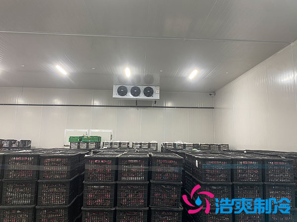 中型冷庫安裝造價(jià)多少錢？中型冷庫造價(jià)表-浩爽制冷
