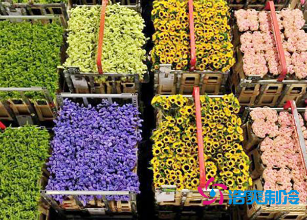 花卉冷庫(kù)安裝預(yù)算造價(jià)多少錢？-浩爽制冷