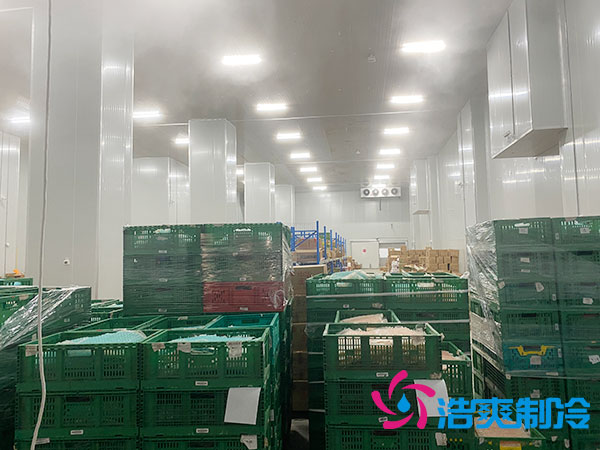 高溫冷庫(kù)建設(shè)多少錢一平方？-浩爽制冷