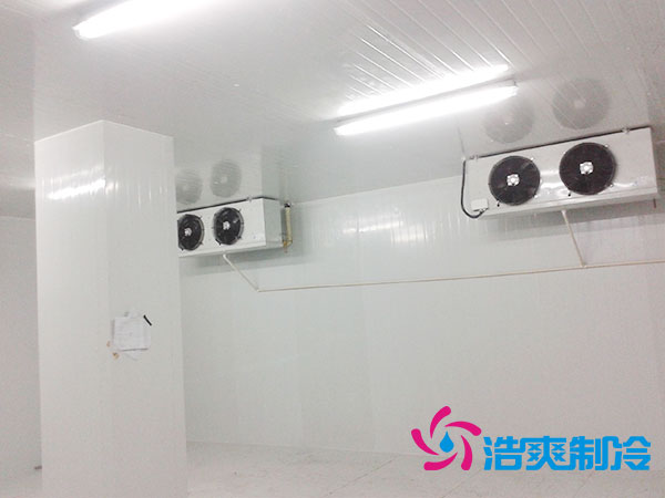 佛山雪糕冷凍庫(kù)價(jià)格多少錢？-浩爽制冷