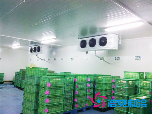 茶葉冷庫造價(jià)多少一平方米？-浩爽制冷