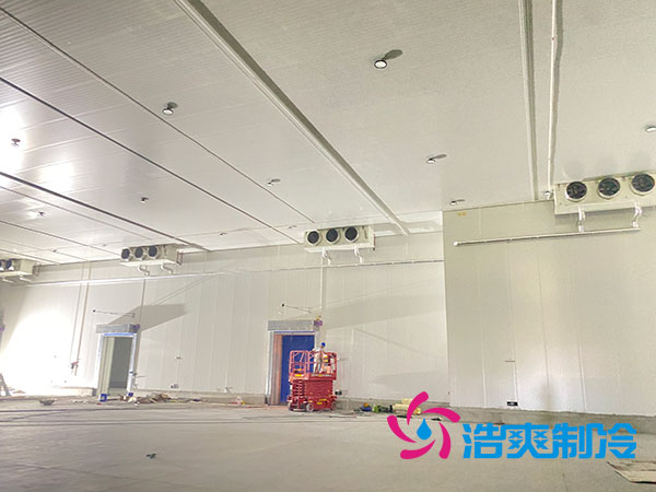 大型水果冷庫(kù)造價(jià)多少錢一平方？-浩爽制冷