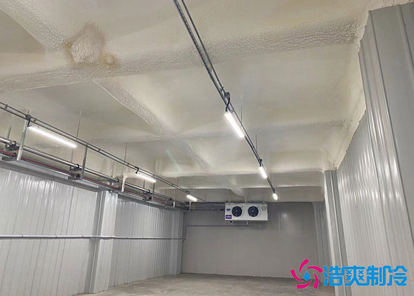 低溫冷庫建造用風(fēng)冷好還是排管好？.jpg