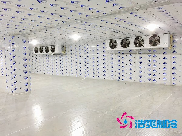 建造一個餐飲雙溫冷庫造價成本需要多少資金？