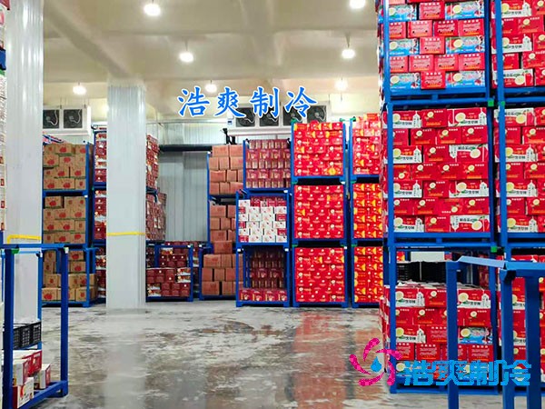 保鮮冷庫造價概覽，果蔬保鮮庫費用解析