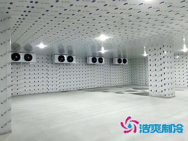 建一個(gè)生姜冷庫造價(jià)造價(jià)大概多少錢？-浩爽制冷