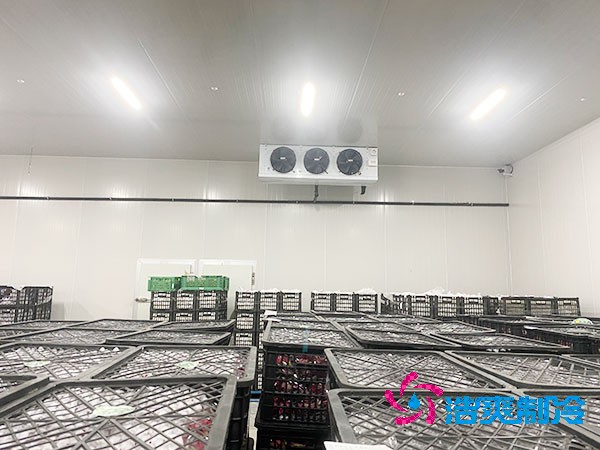 想知道保鮮冷庫設(shè)計(jì)安裝要花多少錢？-浩爽制冷